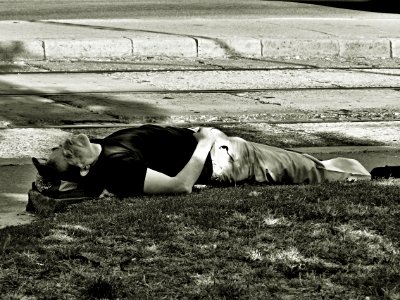 Sleeper in the Shadow of the Tree (remastered)