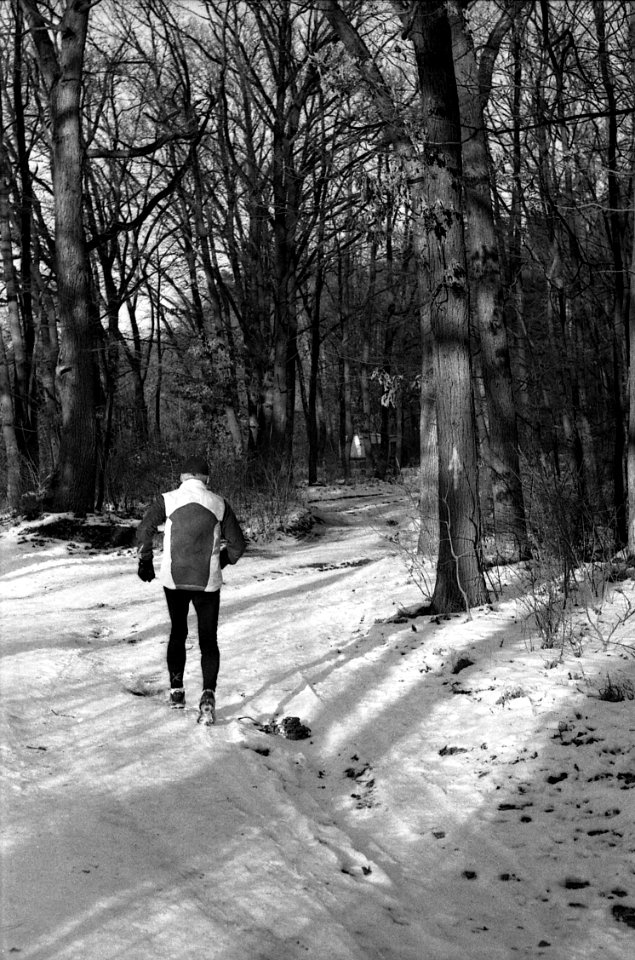 Ricoh TLS 401 with Helios 44-2 - Jogger in Winter Wood