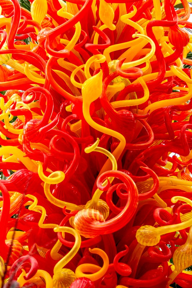 Dale Chihuly