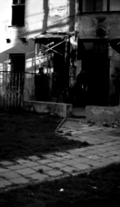 Zorki 4 + Industar-61 L/D - Police is Trying to Get in this House 1