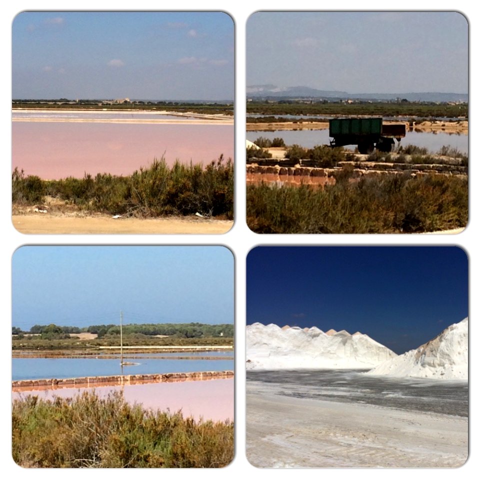 Ses Salines d'es Trenc