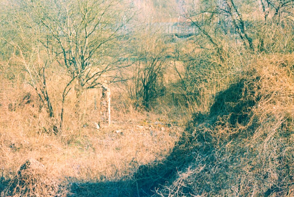 Praktica MTL 5 + Helios 44-2 2/58 - Ruin 1