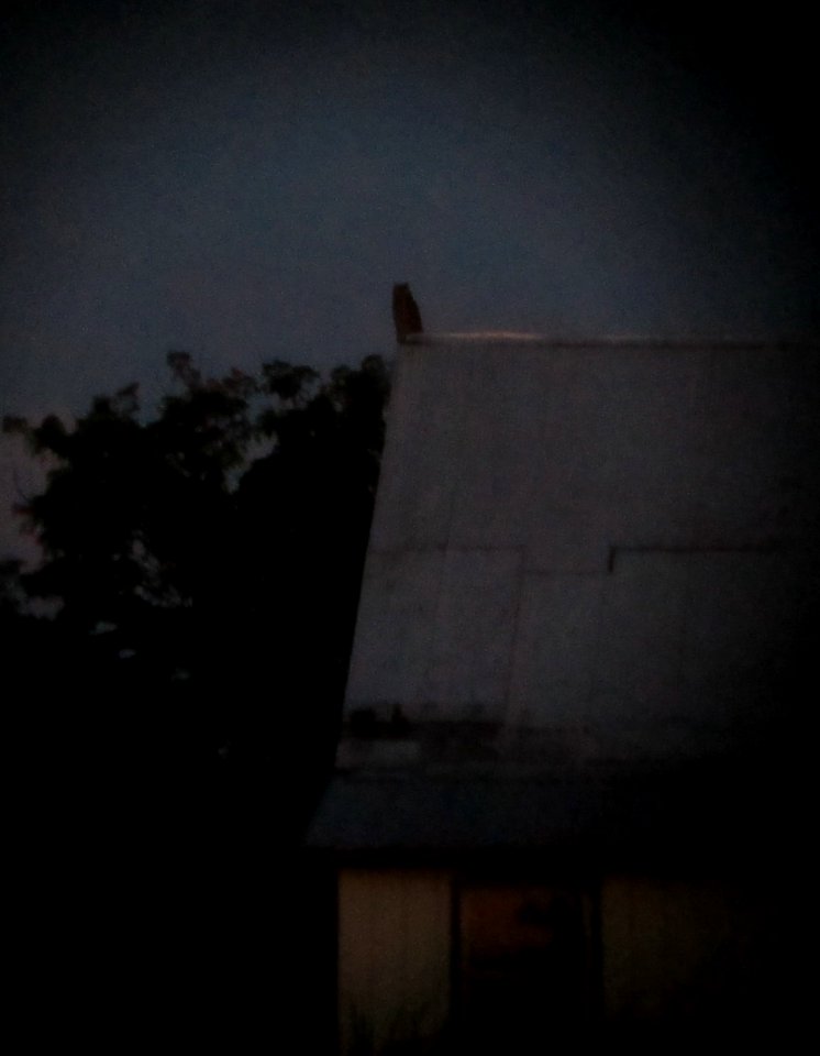 IMG 1980 c Great Horned Owl Whispering Willows Kankakee Co IL 8-21-2015