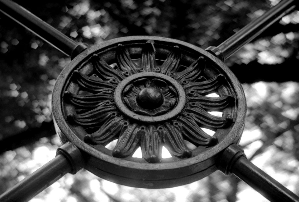 Mamiya 528TL - Detail of the Balustrade in Lužánky Park