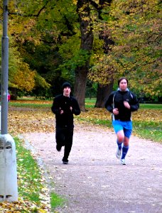 Joggers in the Park
