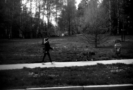 Pentax Espio 170SL - Young Woman Walking a Dog