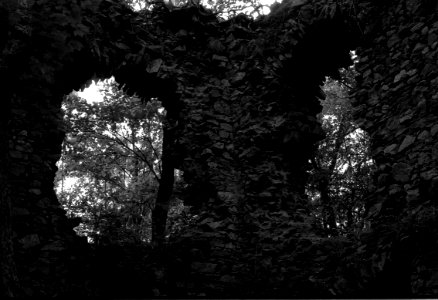 Canon EOS 30 with Canon EF 50mm f/1,8 II - Ruins of Blansek Castle 01