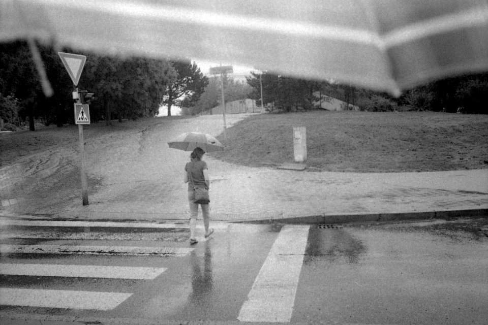 Kodak 835AF- Rainy Day 5