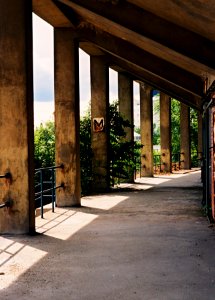 Mamiya 528TL - Detail of Abandoned Soccer Stadium in Brno