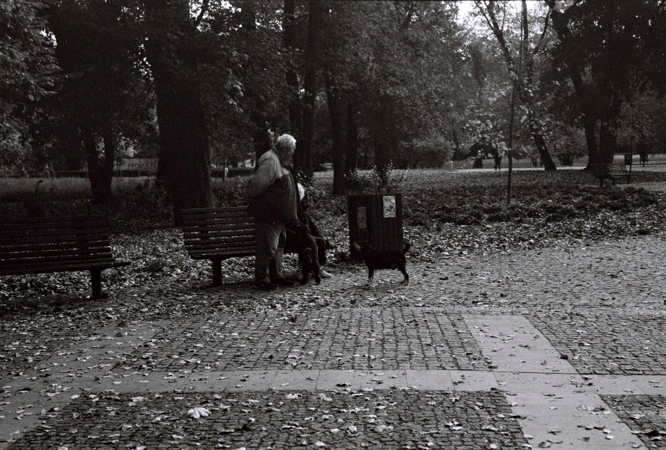 Kiev 4 - Park Scene