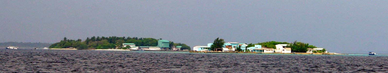 DSC01873