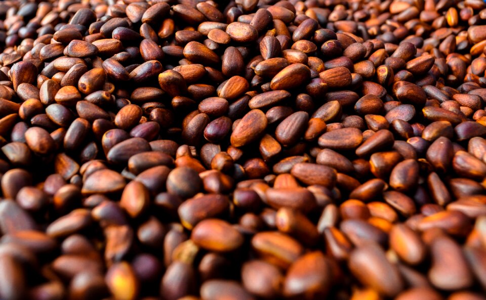 Nature natural seed