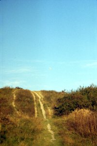 Praktica BC1 - New Scan - Top of the Hill at královo Pole (Brno)