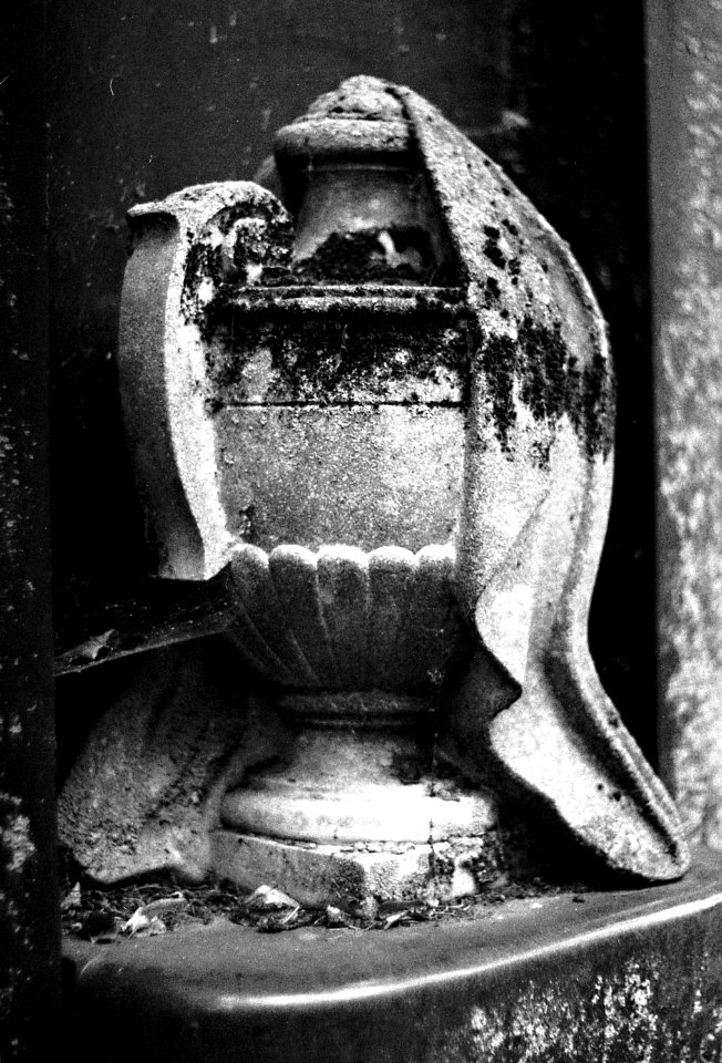 Praktica BC1 - Jewish Cemetery Brno 03