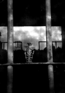 Holga 120FN - Abandoned Stadium Guarded by Totem