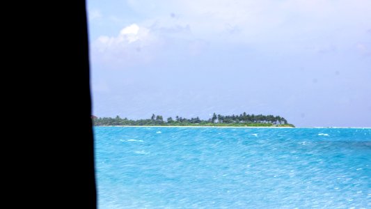 DSC02310