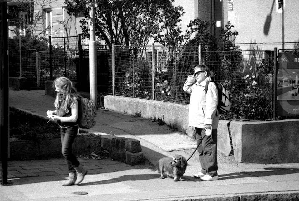 Pentax Espio 170SL - They Are Looking at Something