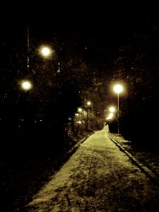 Path in the Park 2