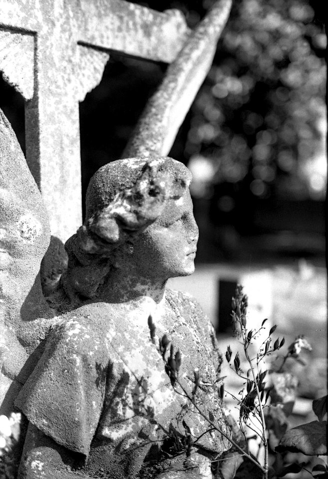Praktica MTL 5 with Industar-61L/Z-MC - Gravestone Angel 3