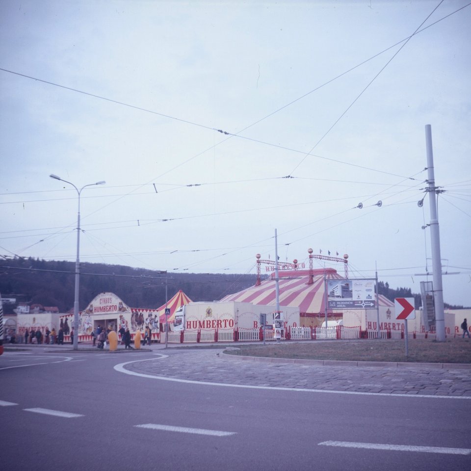 Lubitel 2 - Circus Humberto
