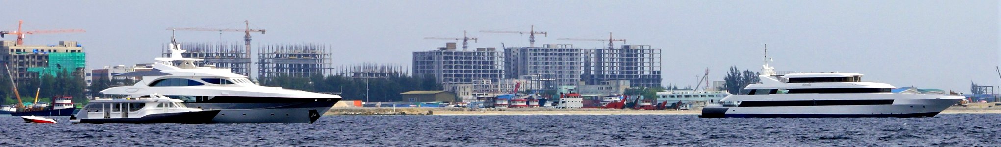 DSC01867
