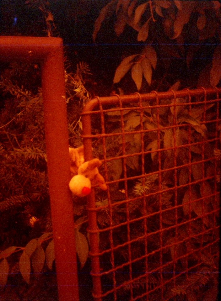 Chaika 3 - Redscale - New Scan - Toy and the Fence 1