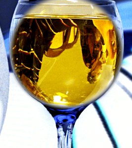 Reflection in White Wine photo