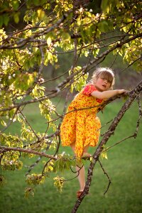 Girl dress tree
