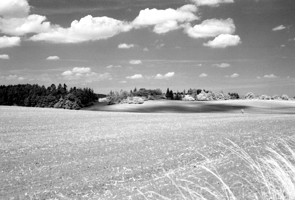 Canon EOS 30 with Canon EF 50mm f/1,8 II - Moravian Karst Landscape 04