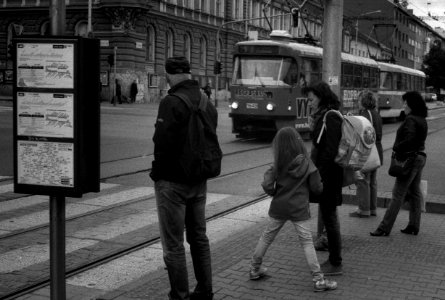 Smena Symbol - People at Crosswalk 2 photo