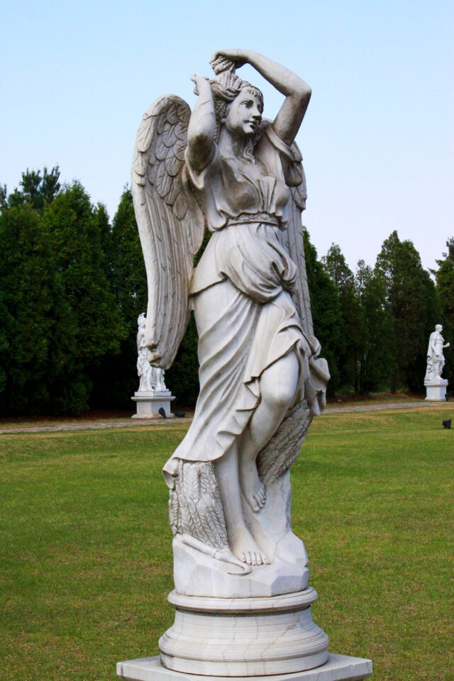 Woman wing angel