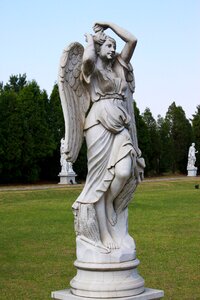 Woman wing angel