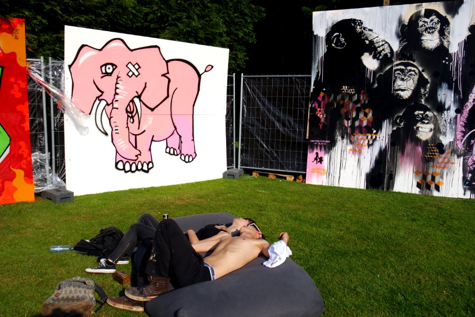 Broodje Aap serveert: Street Art in het Volkspark