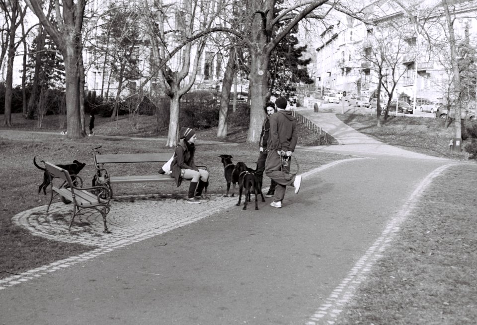 Zorki 4 + Industar-61 L/D - Young People with Dogs in the Park