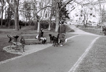 Zorki 4 + Industar-61 L/D - Young People with Dogs in the Park