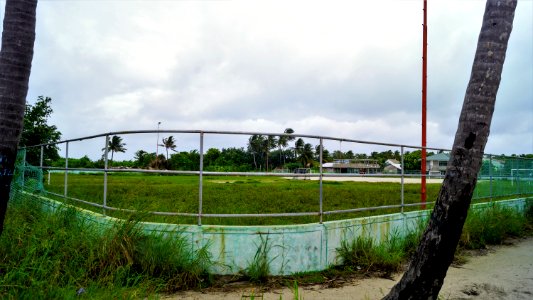 DSC01940
