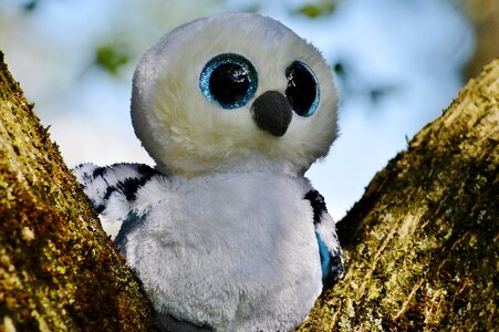 Feather glitter eyes stuffed animal photo