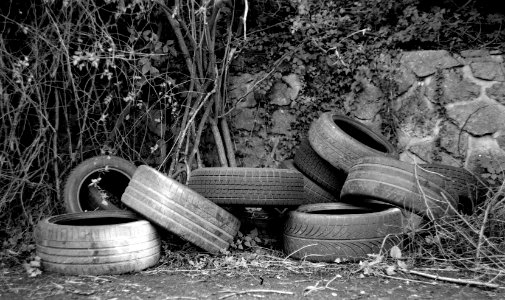 Ricoh TLS 401 with Helios 44-2 - Beauties of Decay and Other Stories