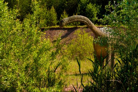 Dino extinct model
