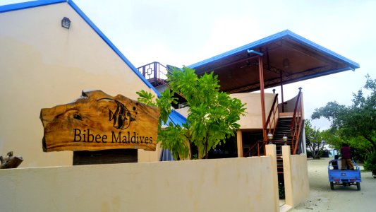DSC02006