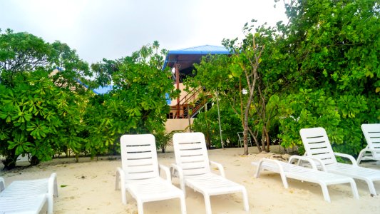 DSC02002