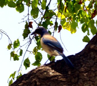 DSC04977