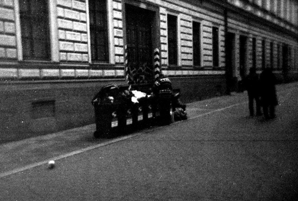 Holga 120FN - Garbage Picker