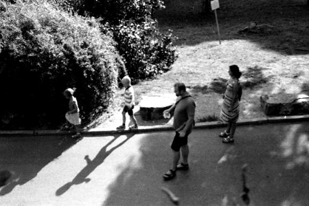 Canon Prima Zoom 80u (Sure Shot 80u) - Family from Above