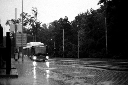 Praktica BC1 - Bus in the Rain