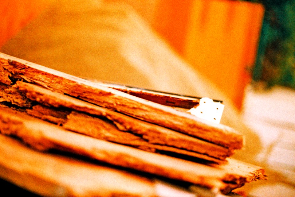Canon EOS 30 - Crossbird Film - Wooden Waste