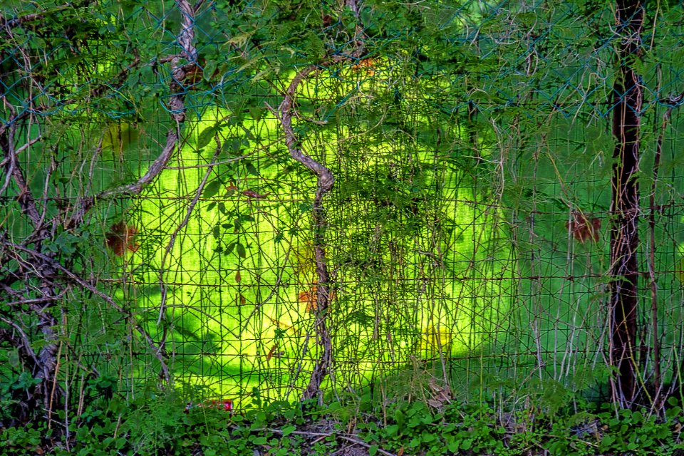 DSCF1170