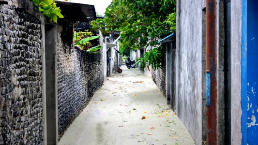 DSC02031