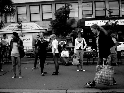 Tram Stop Scene (B&W) photo