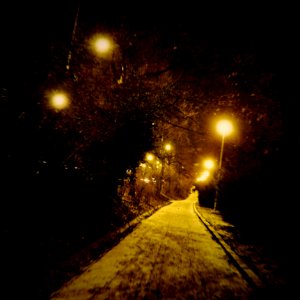 Path in the Park 3